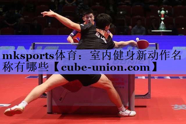 mksports体育：室内健身新动作名称有哪些