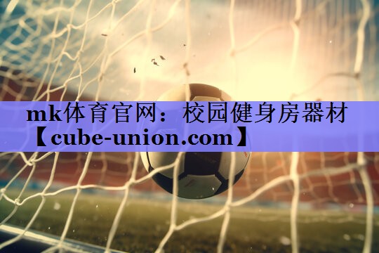 mk体育官网：校园健身房器材