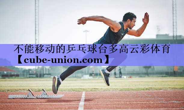 不能移动的乒乓球台多高云彩体育