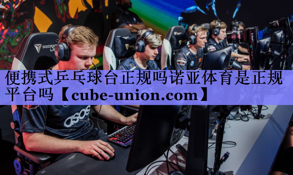便携式乒乓球台正规吗诺亚体育是正规平台吗