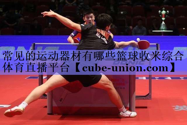 常见的运动器材有哪些篮球收米综合体育直播平台