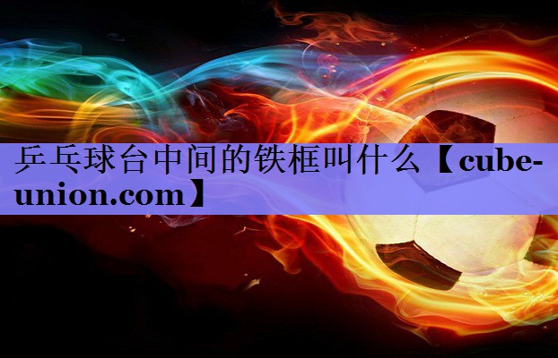乒乓球台中间的铁框叫什么