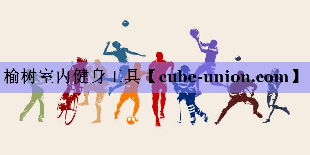 榆树室内健身工具