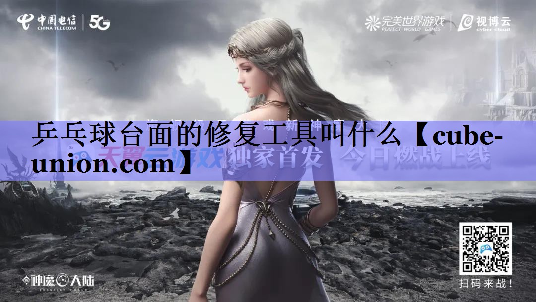 乒乓球台面的修复工具叫什么