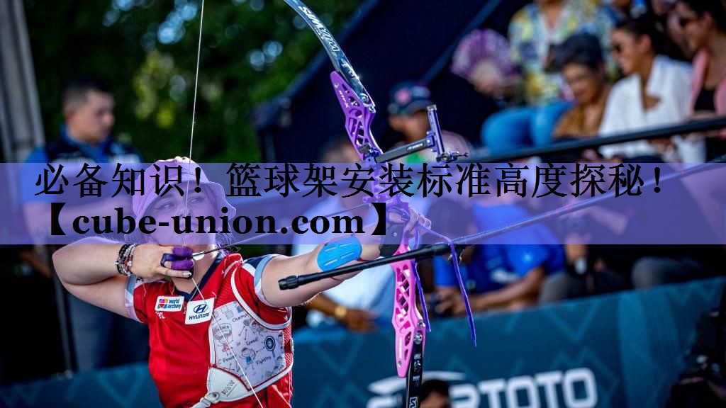 必备知识！篮球架安装标准高度探秘！