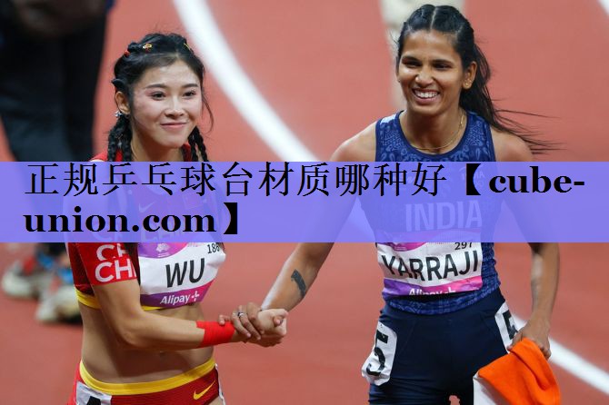 正规乒乓球台材质哪种好