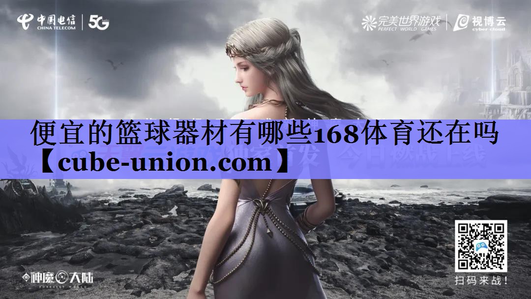 便宜的篮球器材有哪些168体育还在吗