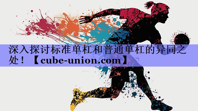 深入探讨标准单杠和普通单杠的异同之处！