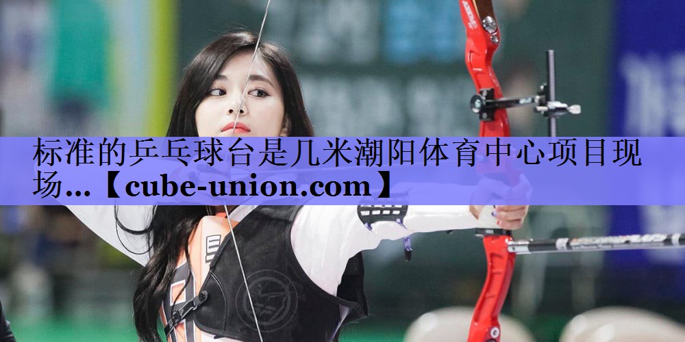 标准的乒乓球台是几米潮阳体育中心项目现场…