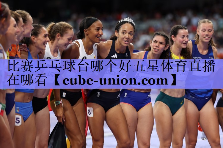比赛乒乓球台哪个好五星体育直播在哪看