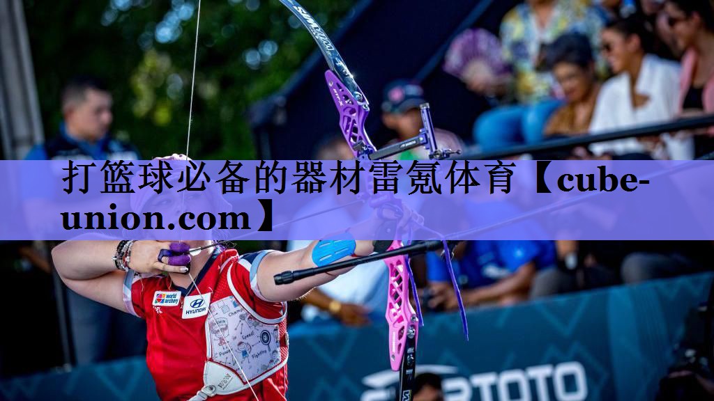 打篮球必备的器材雷氪体育