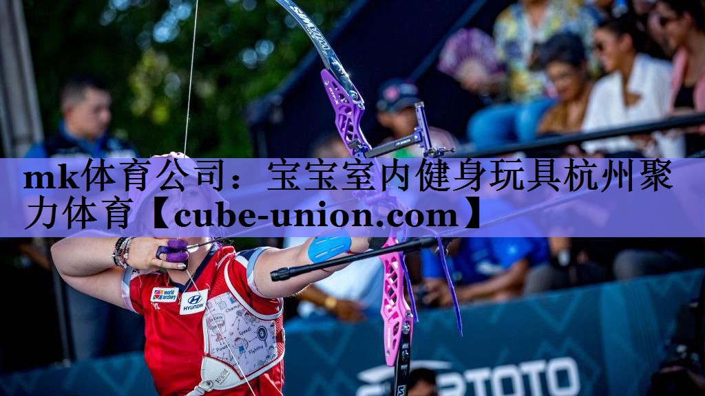 mk体育公司：宝宝室内健身玩具杭州聚力体育