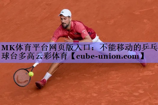 MK体育平台网页版入口：不能移动的乒乓球台多高云彩体育