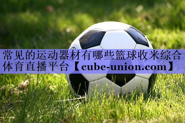 常见的运动器材有哪些篮球收米综合体育直播平台