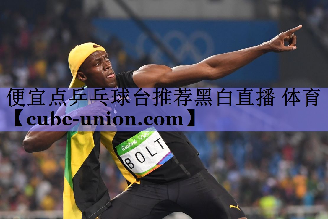 便宜点乒乓球台推荐黑白直播 体育