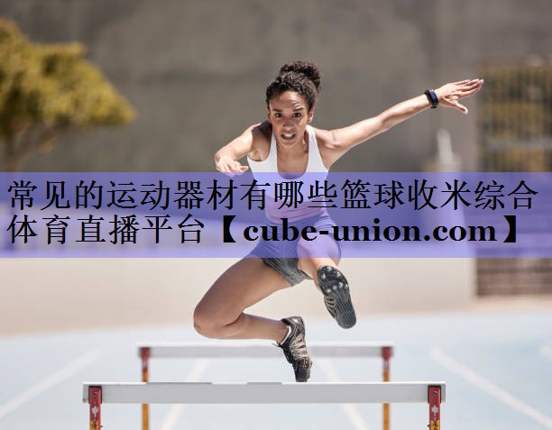 常见的运动器材有哪些篮球收米综合体育直播平台
