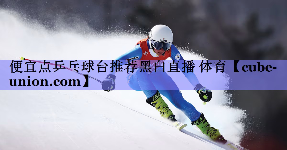 便宜点乒乓球台推荐黑白直播 体育