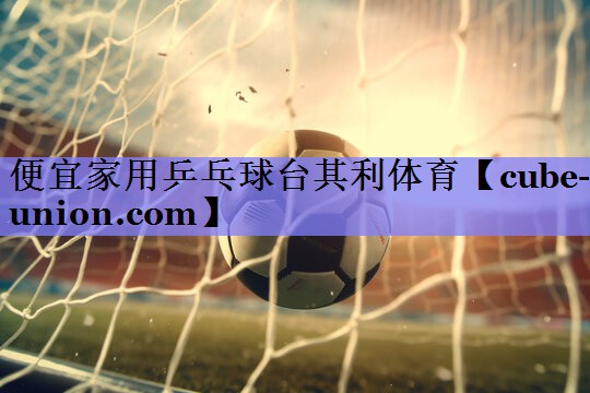便宜家用乒乓球台其利体育
