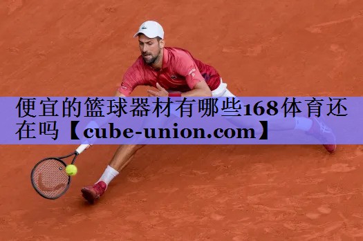便宜的篮球器材有哪些168体育还在吗