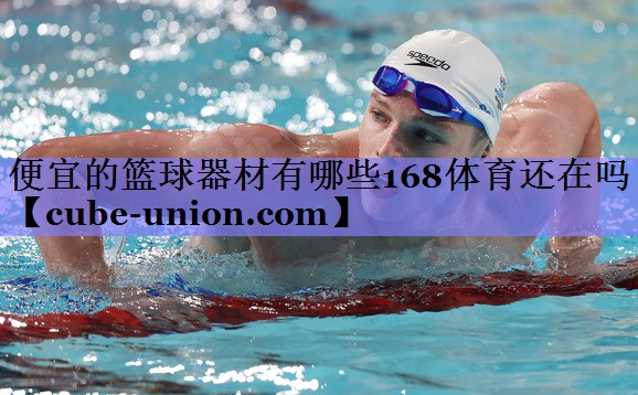 便宜的篮球器材有哪些168体育还在吗