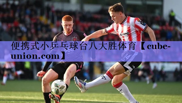 便携式小乒乓球台八大胜体育
