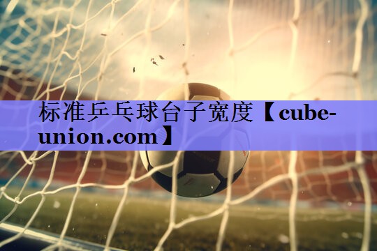 标准乒乓球台子宽度