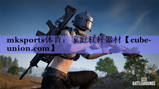 家庭杠杆器材