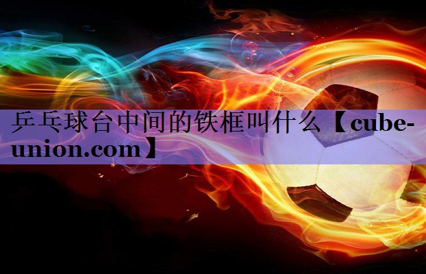 乒乓球台中间的铁框叫什么