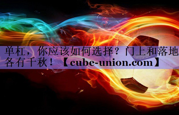 单杠，你应该如何选择？门上和落地各有千秋！