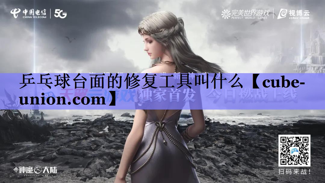 乒乓球台面的修复工具叫什么