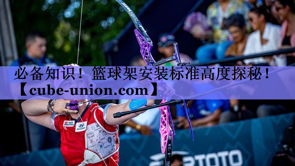 必备知识！篮球架安装标准高度探秘！