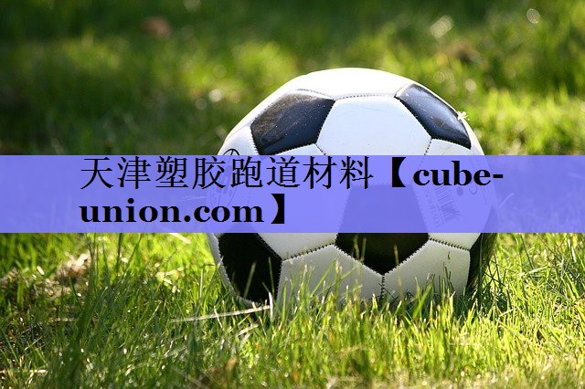 天津塑胶跑道材料