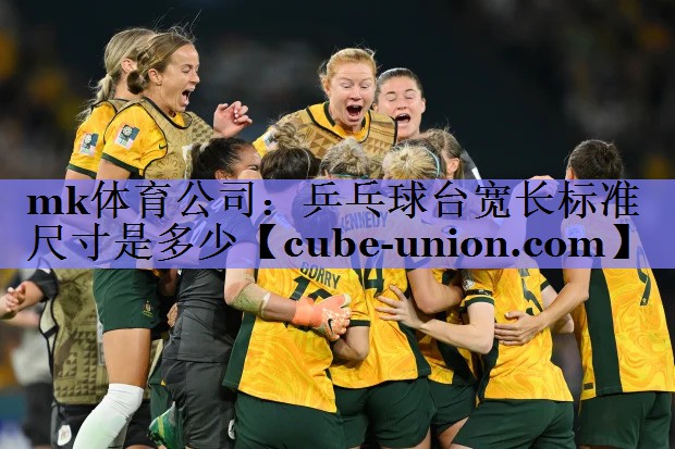 乒乓球台宽长标准尺寸是多少