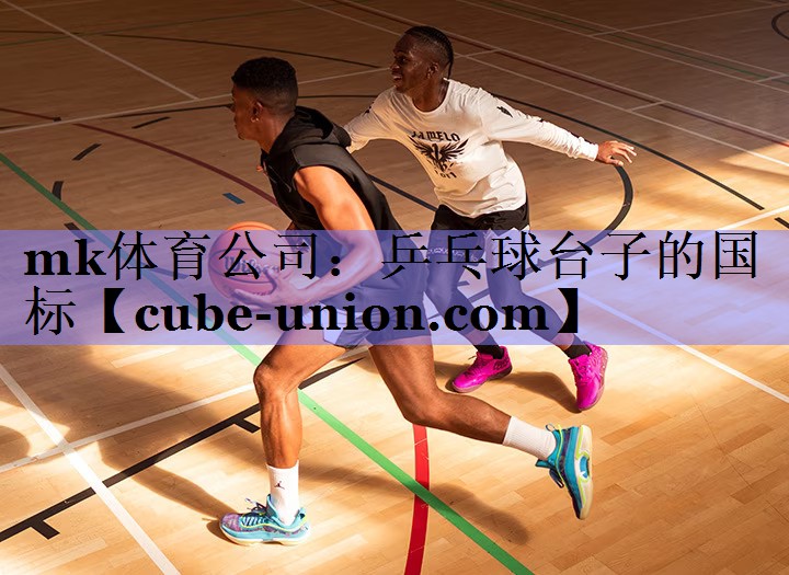 乒乓球台子的国标