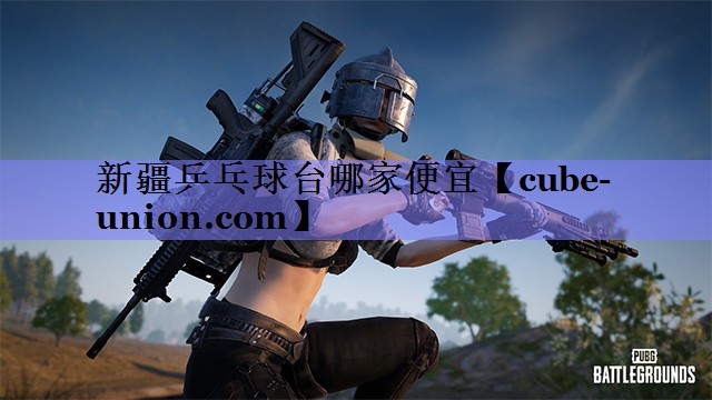 新疆乒乓球台哪家便宜