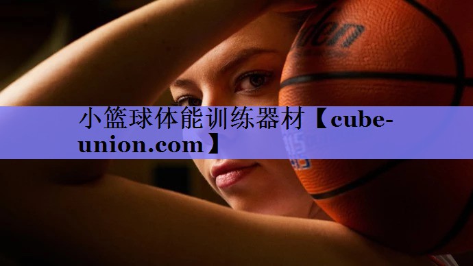 小篮球体能训练器材