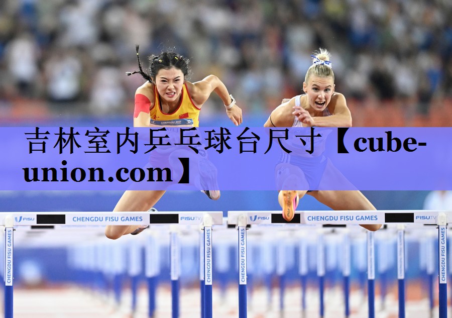 吉林室内乒乓球台尺寸