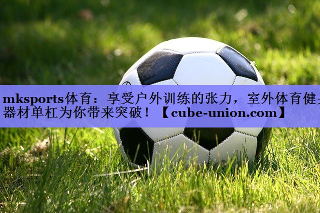 享受户外训练的张力，室外体育健身器材单杠为你带来突破！